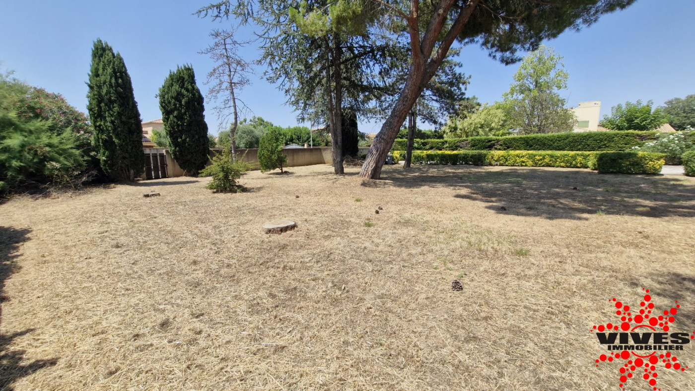 vente Terrain constructible Montady - Photo 2