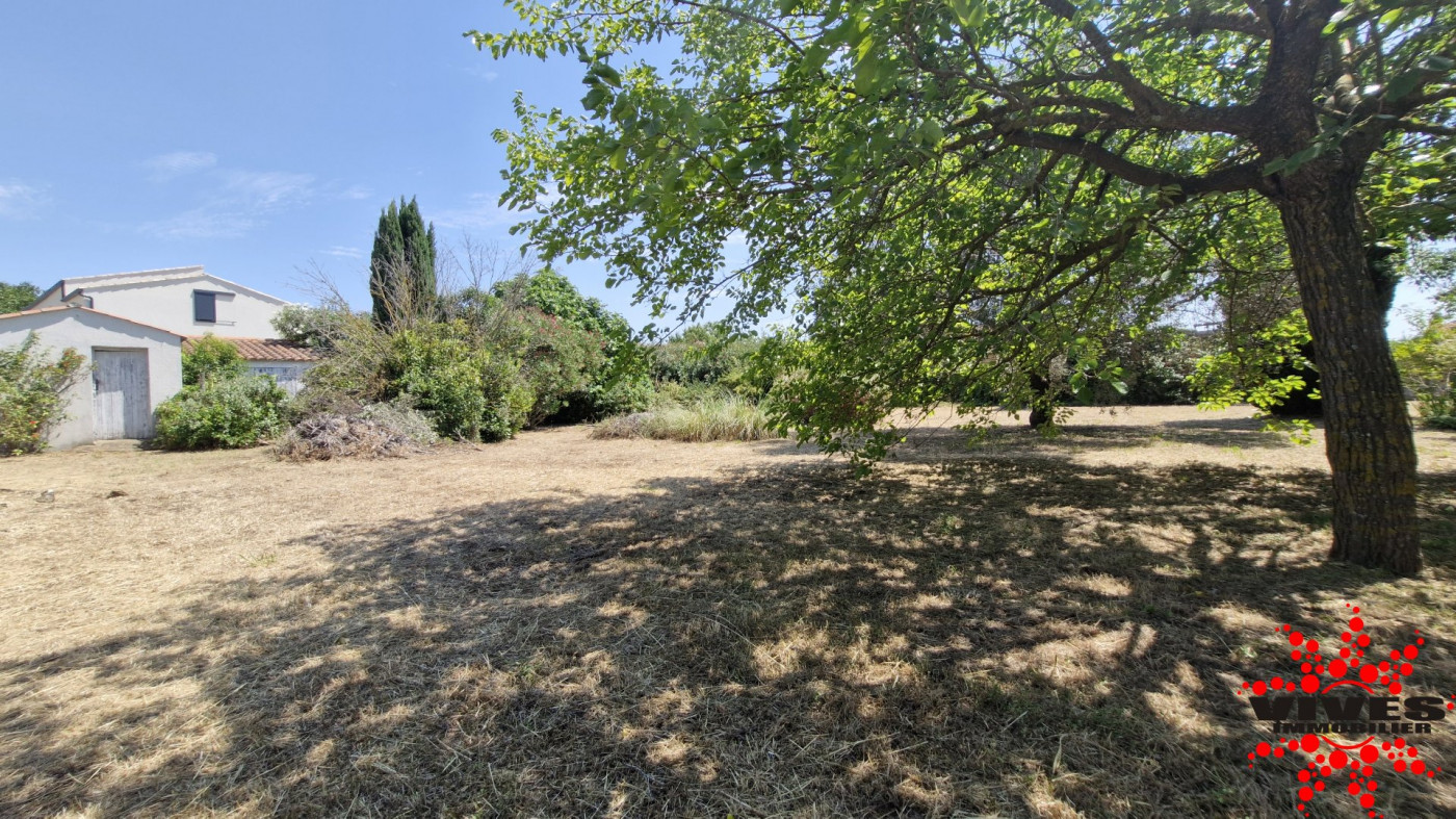 sale Terrain constructible Montady - Photo 1