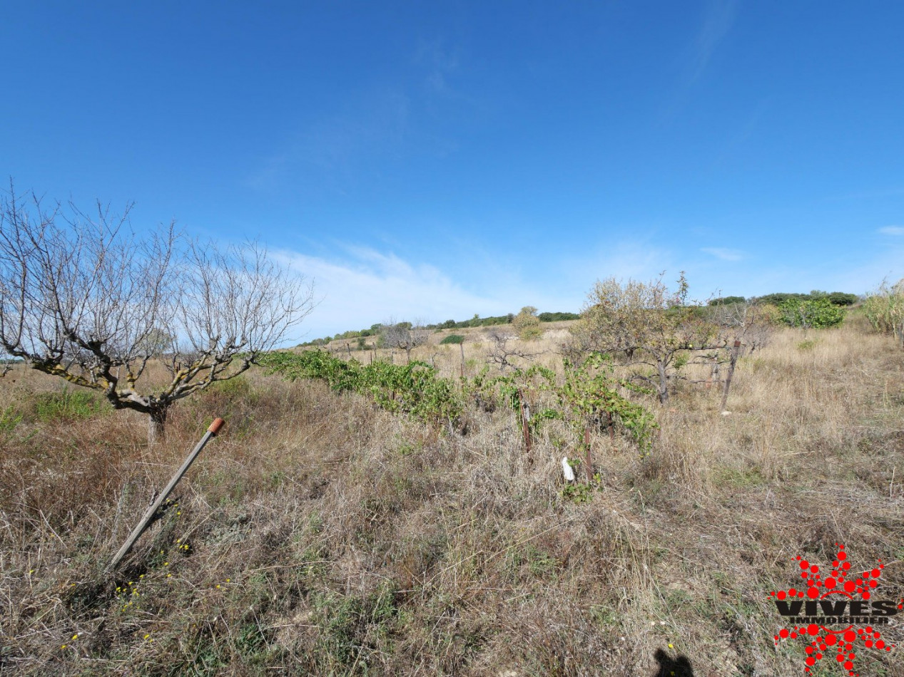 vente Terrain agricole Quarante - Photo 2