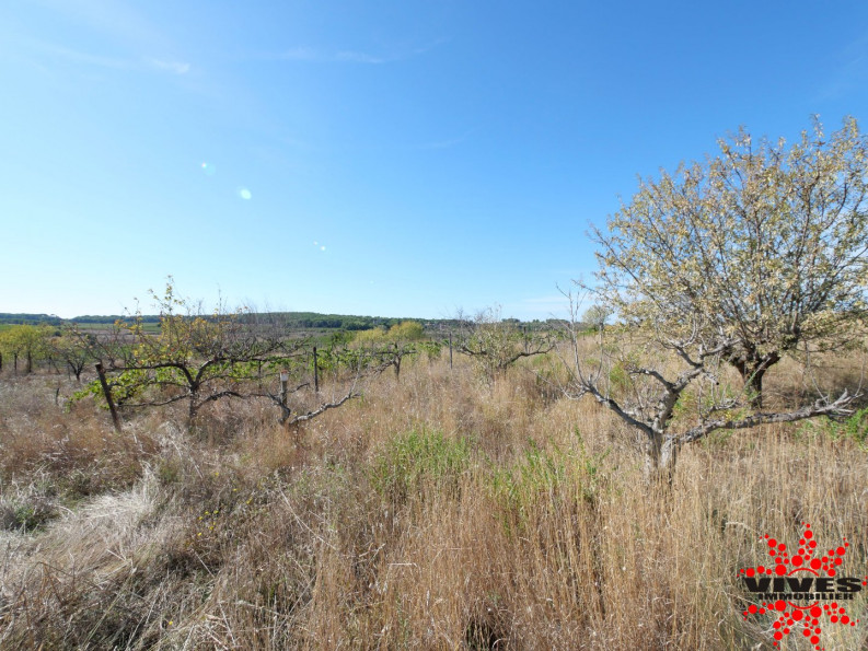 vente Terrain agricole Quarante - Photo 4