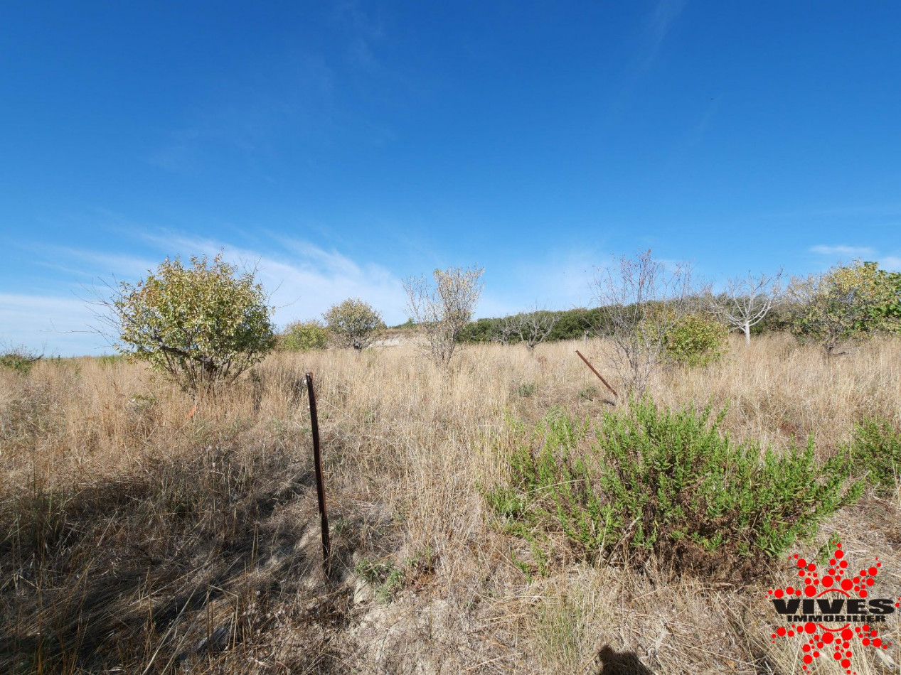 vente Terrain agricole Quarante - Photo 5