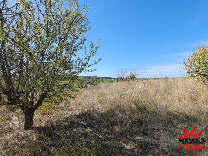 vente Terrain agricole Quarante - Photo 6