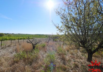 vente Terrain agricole Quarante