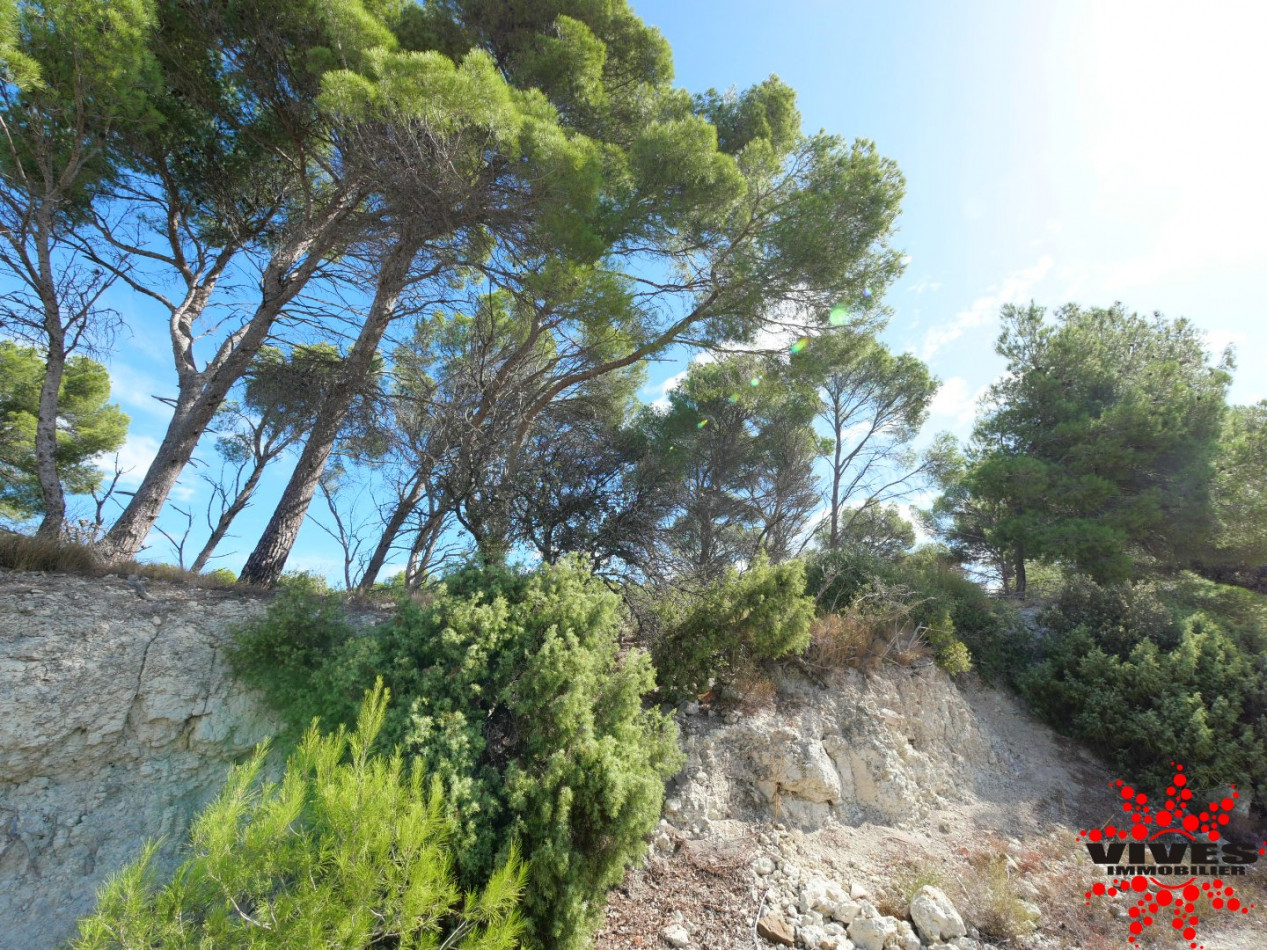 vente Terrain de loisir Quarante - Photo 13