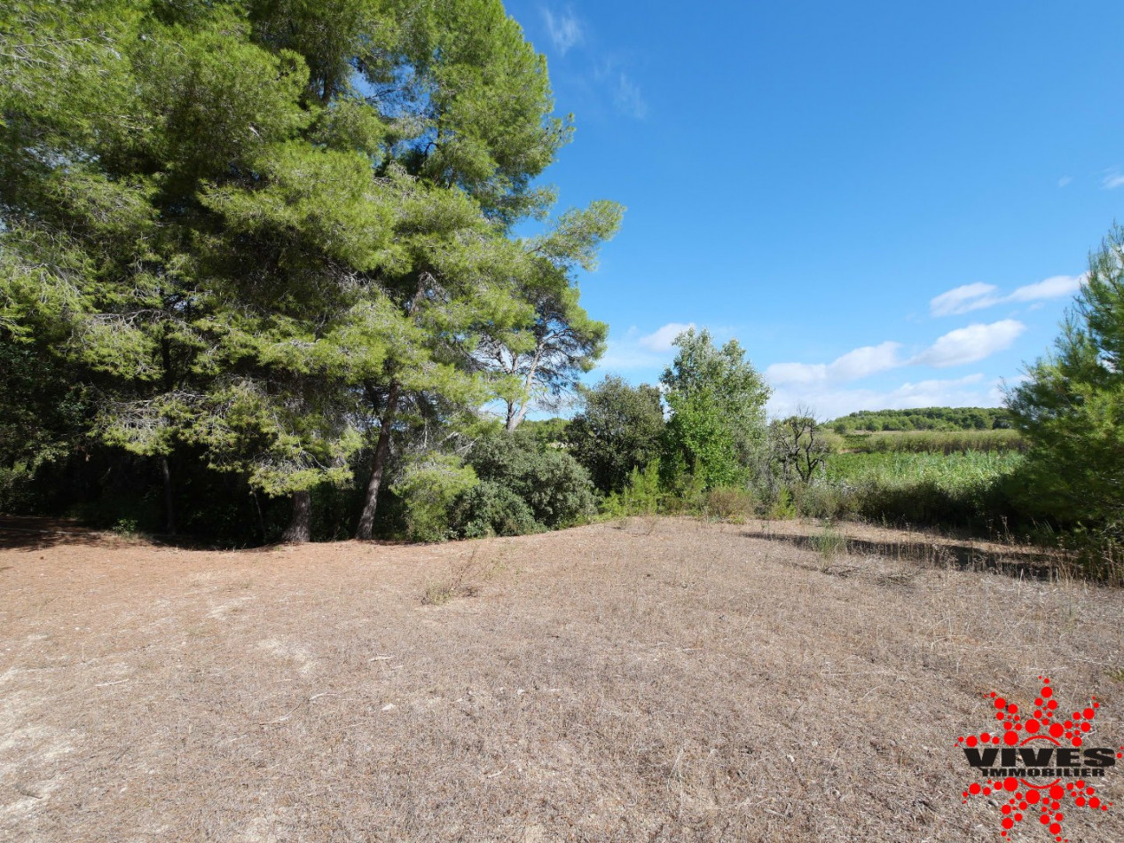 vente Terrain de loisir Quarante - Photo 10