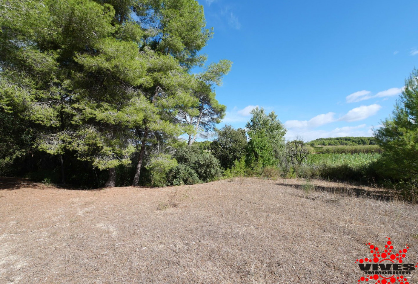 vente Terrain de loisir Quarante - Photo 10