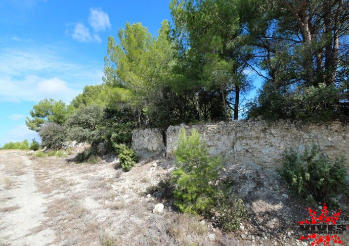 vente Terrain de loisir Quarante