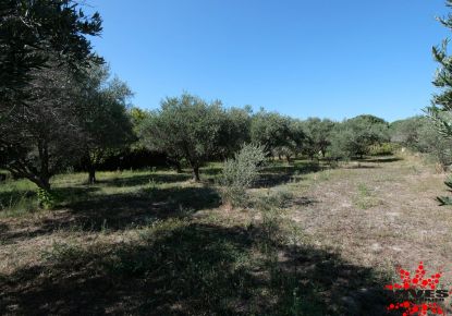 vente Terrain constructible Capestang