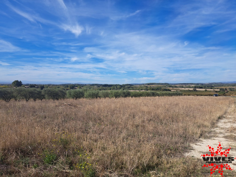 vente Terrain agricole Capestang - Photo 1