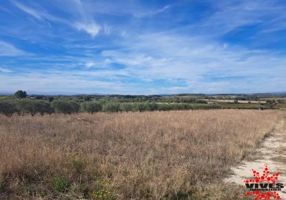vente Terrain agricole Capestang