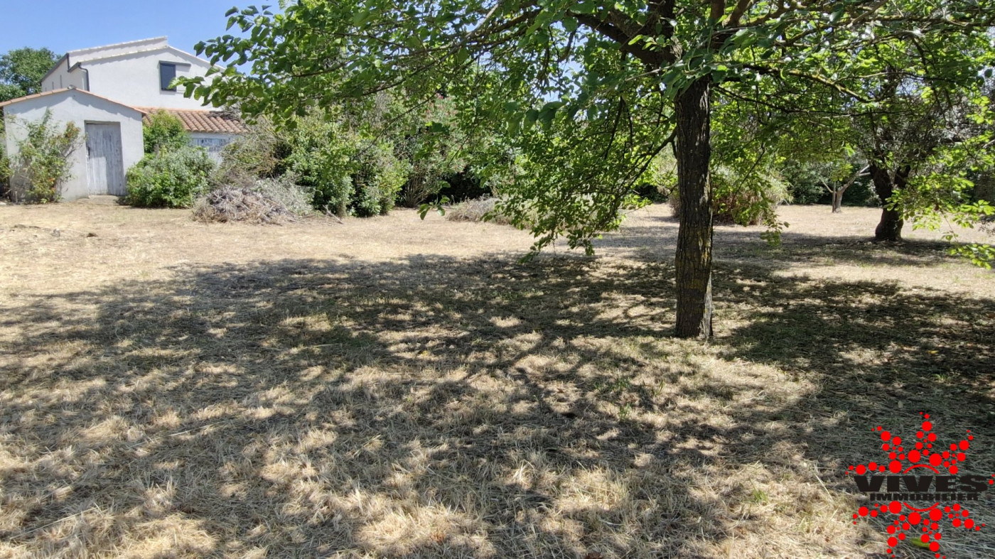 sale Terrain Montady - Photo 1