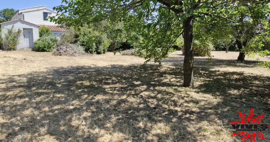 vente Terrain Montady