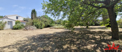 vente Terrain Montady
