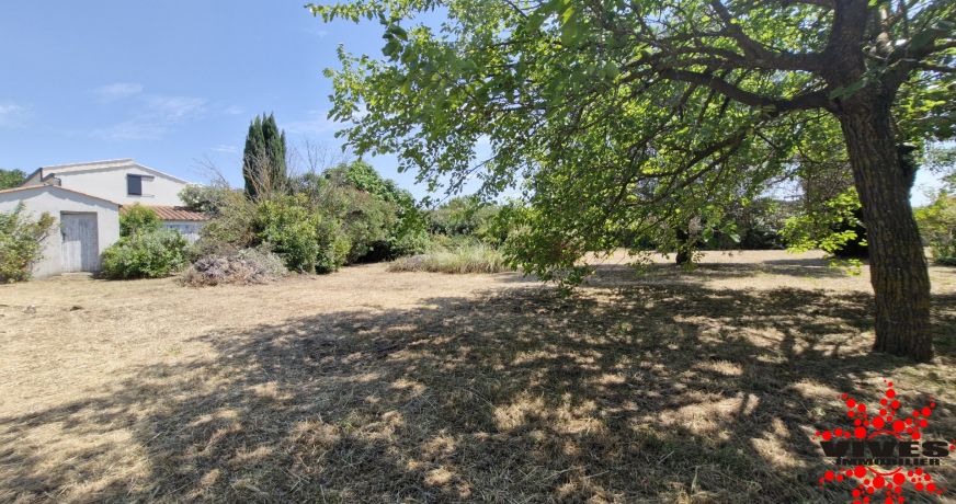 vente Terrain Montady