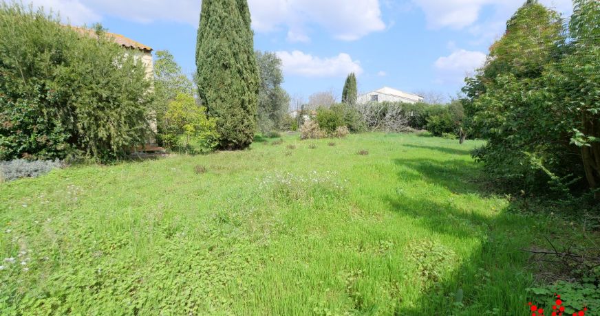 vente Terrain Montady
