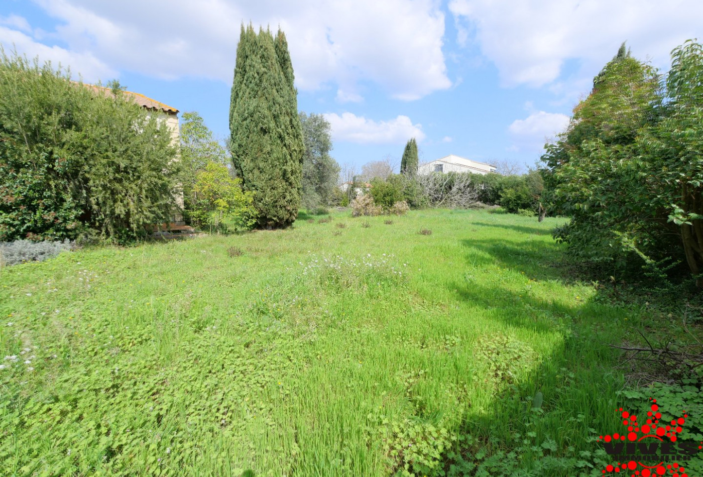 vente Terrain Montady - Photo 3