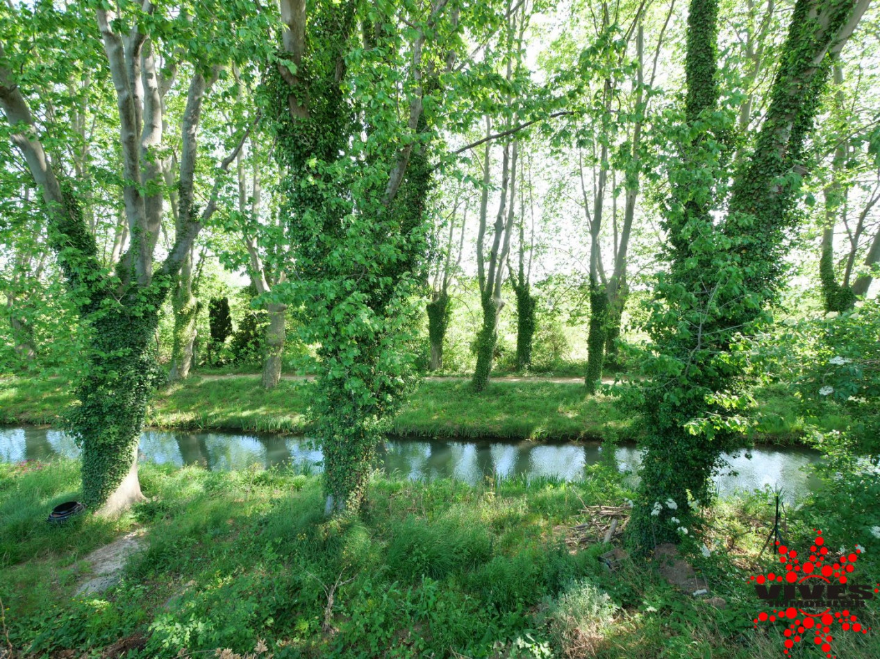 vente Villa Mirepeisset - Photo 15