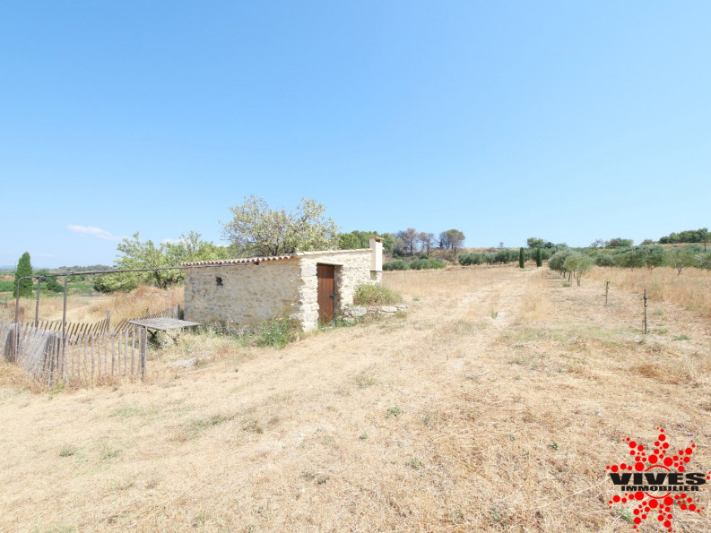 vente Terrain agricole Cazouls Les Beziers - Photo 2