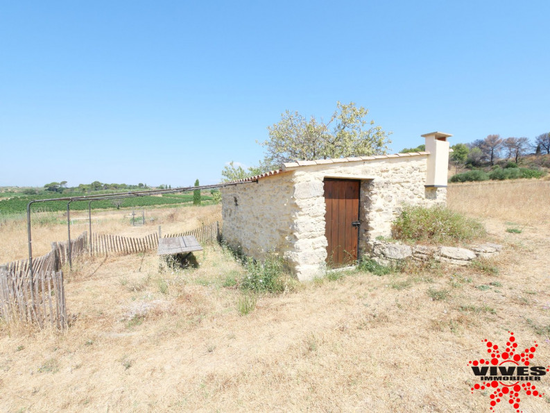 vente Terrain agricole Cazouls Les Beziers - Photo 4