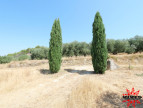 vente Terrain agricole Cazouls Les Beziers