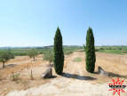 vente Terrain agricole Cazouls Les Beziers