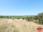 vente Terrain agricole Cazouls Les Beziers