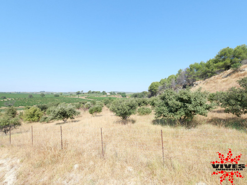 vente Terrain agricole Cazouls Les Beziers - Photo 7
