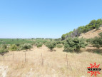 vente Terrain agricole Cazouls Les Beziers