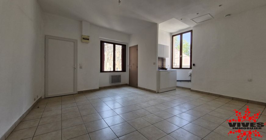 vente Immeuble de rapport Saint Chinian