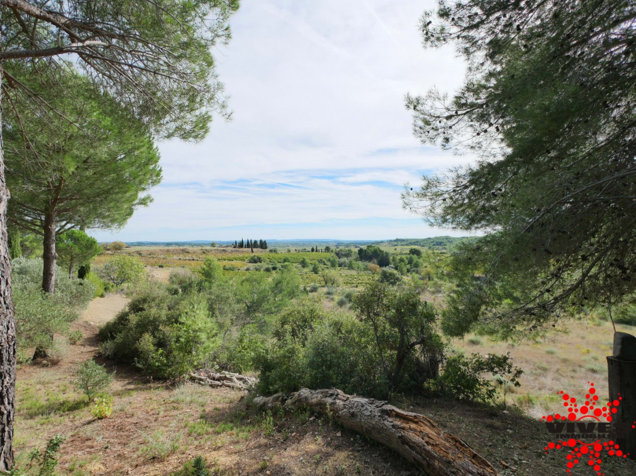 sale Villa Montouliers - Photo 17