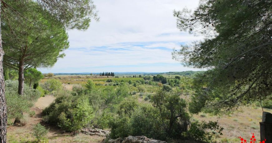 vente Villa Montouliers