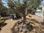 vente Appartement Bessan