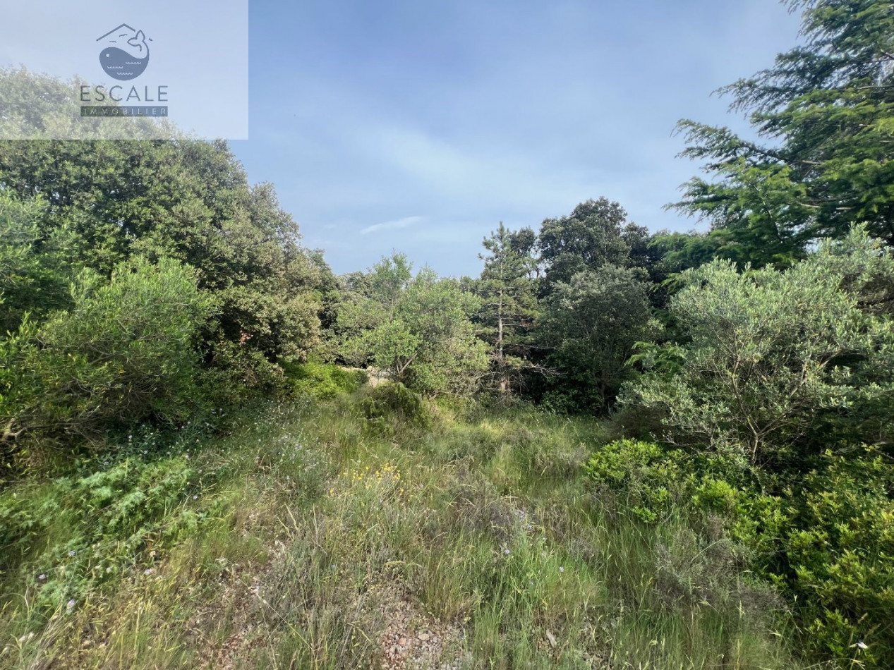 à vendre Terrain Pignan - Photo 2
