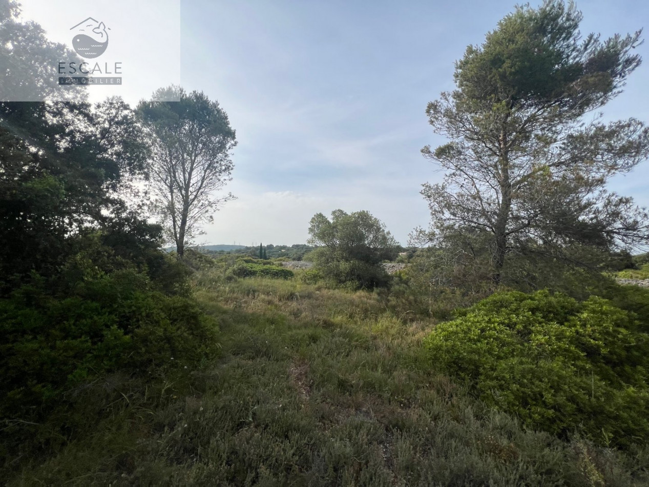 à vendre Terrain Pignan - Photo 4