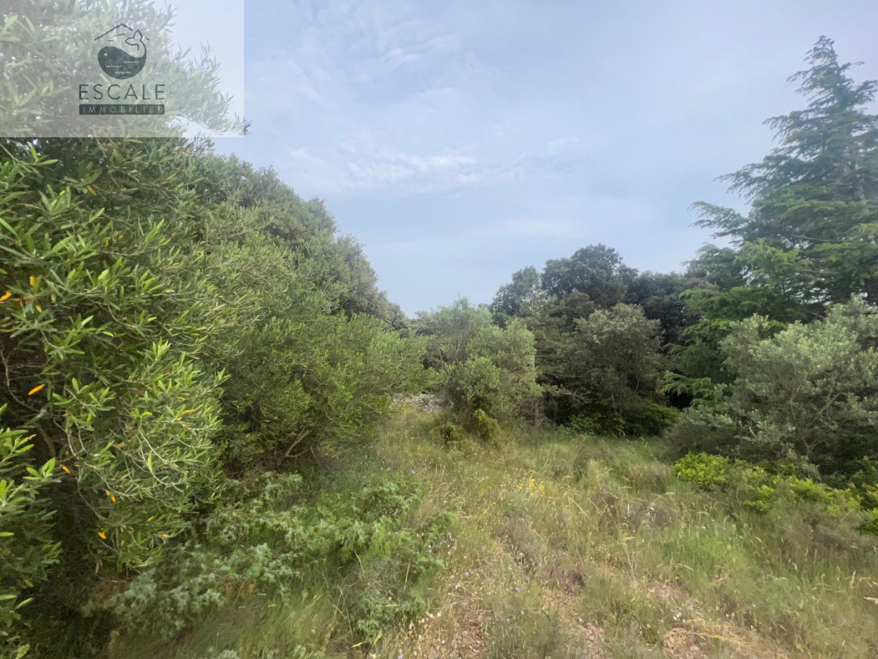 à vendre Terrain Pignan - Photo 8