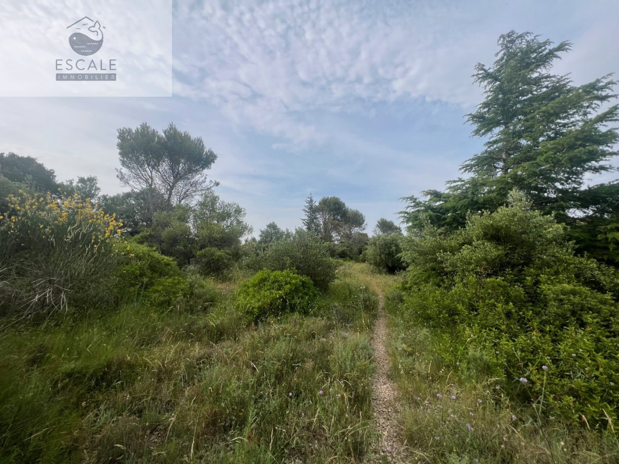 à vendre Terrain Pignan - Photo 1
