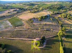 vente Terrain agricole Montagnac