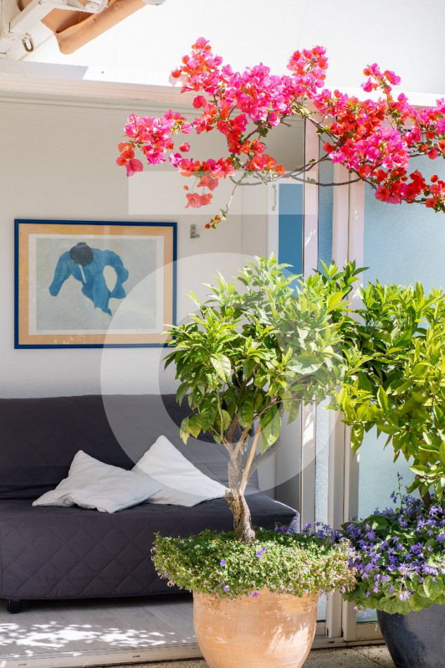 vente Appartement La Grande-motte - Photo 7