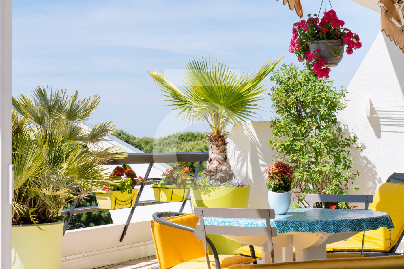 vente Appartement La Grande-motte - Photo 4