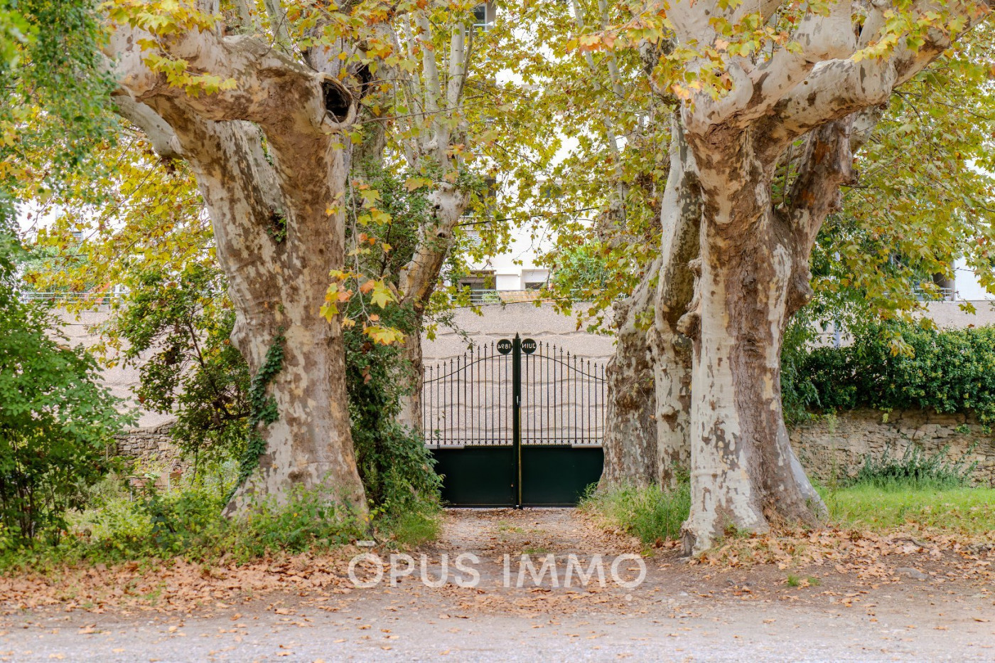 vente Appartement Montpellier - Photo 3