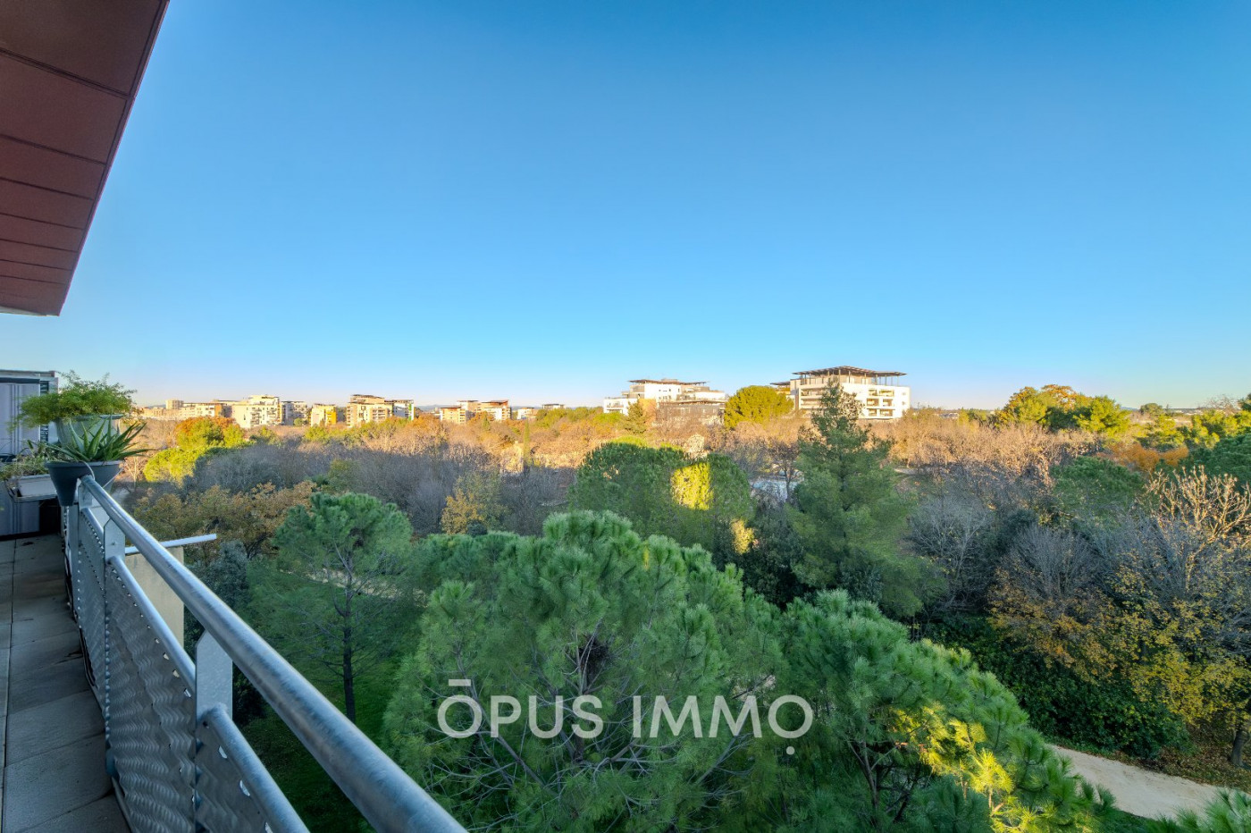 vente Appartement terrasse Montpellier - Photo 1