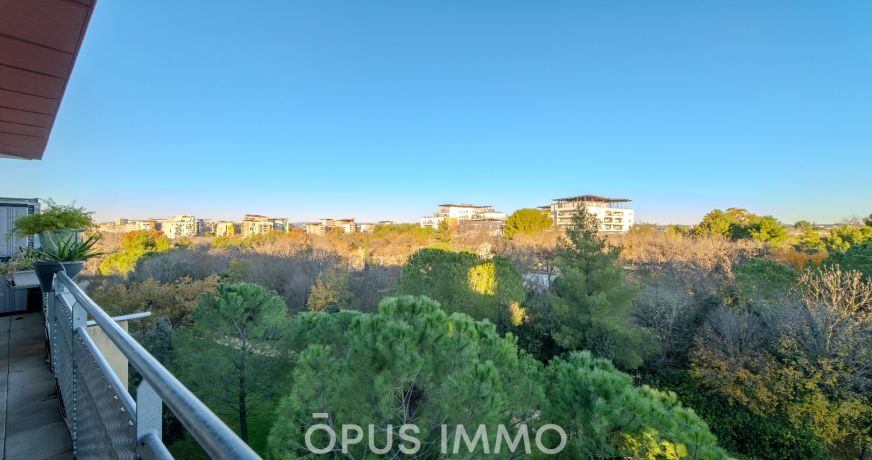 vente Appartement terrasse Montpellier