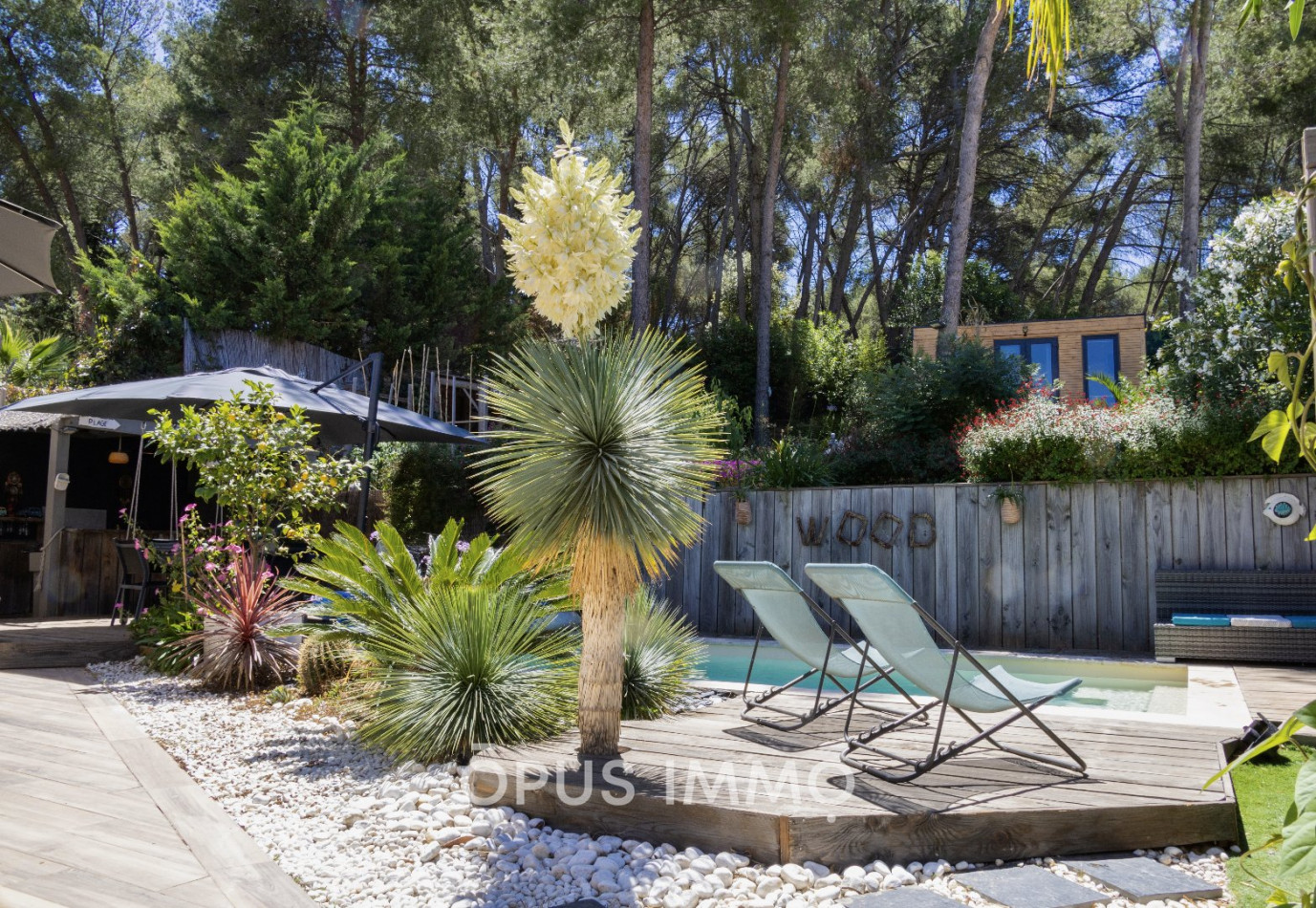 vente Maison contemporaine Jacou - Photo 1