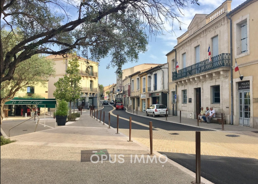 vente Appartement Castelnau Le Lez - Photo 3