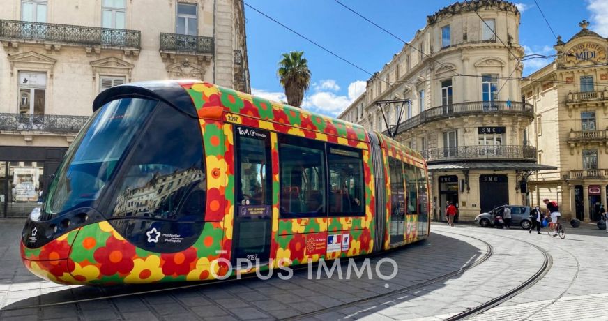 vente Appartement neuf Castelnau Le Lez