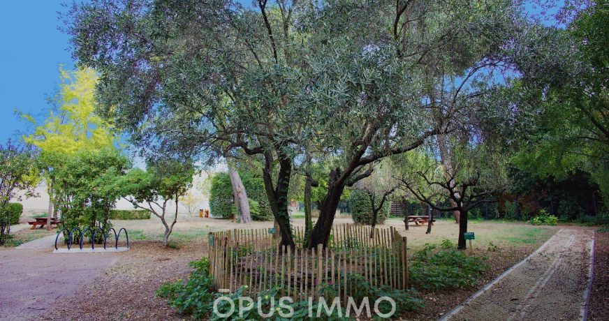 vente Appartement Castelnau Le Lez