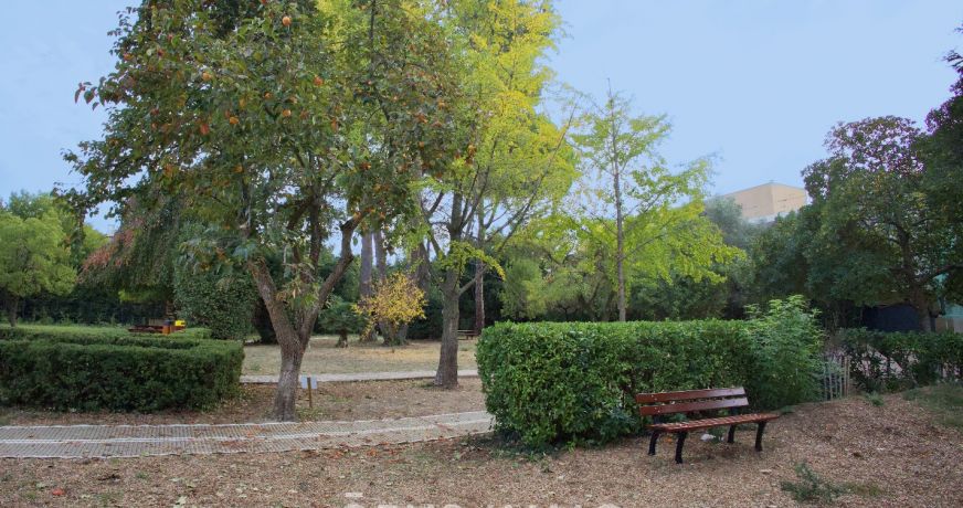 vente Appartement Castelnau Le Lez