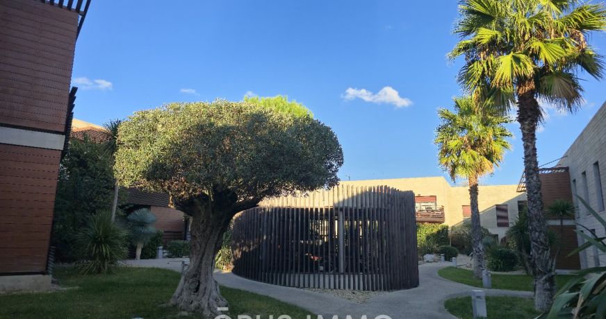 vente Appartement Castelnau Le Lez