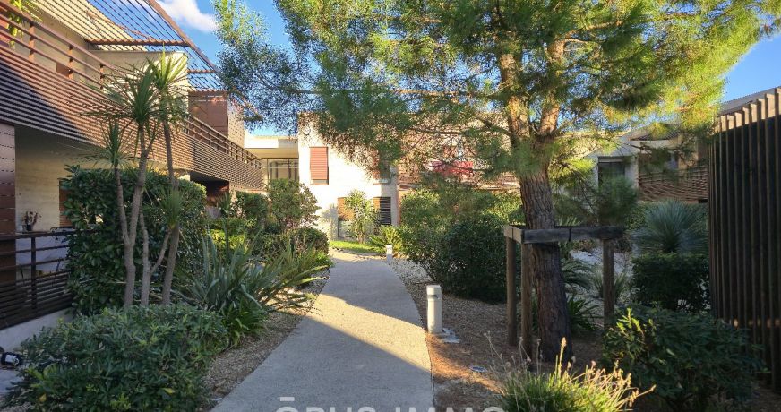 vente Appartement Castelnau Le Lez