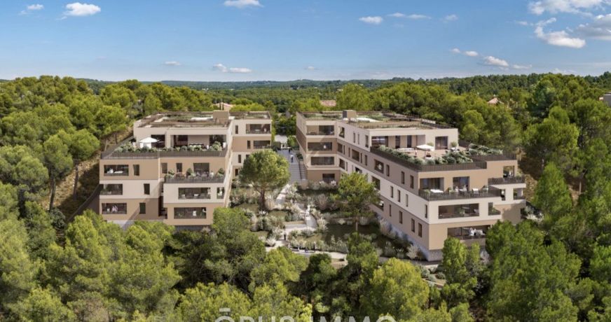 vente Appartement Saint Clement De Riviere